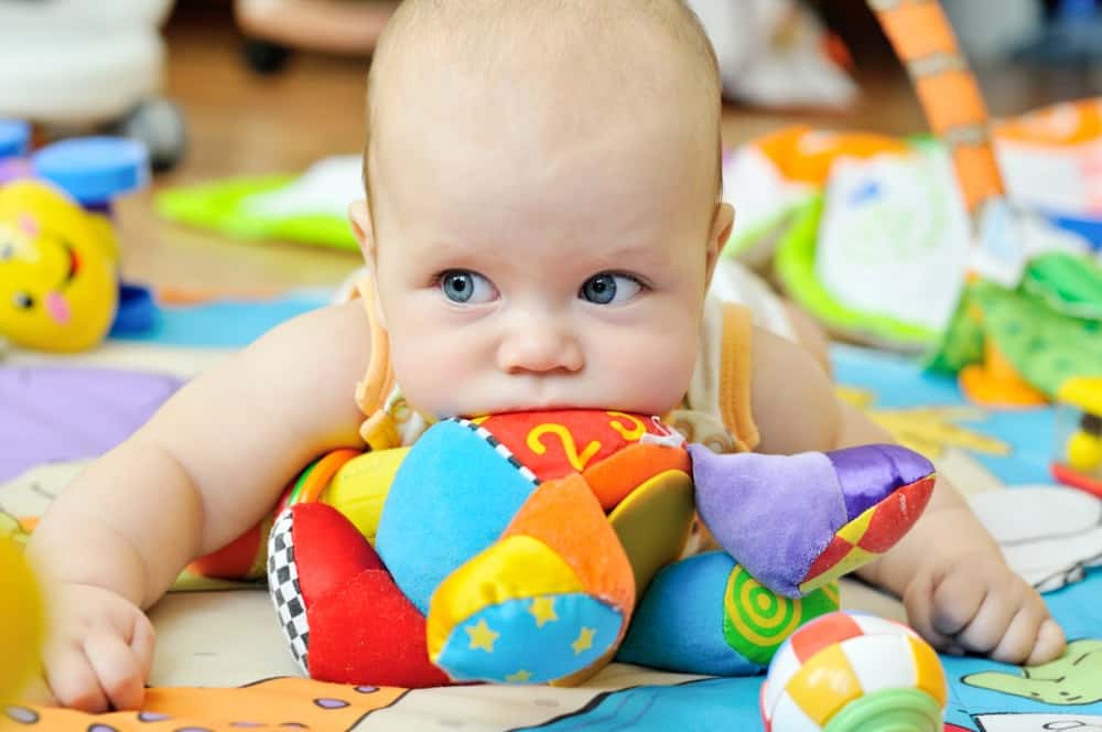 Baby Development 6 Months Toys: How to Choose the Best Ones?