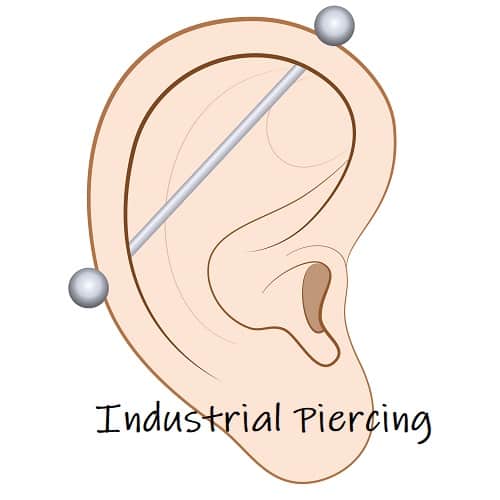 Cartilage Piercing ears industrial