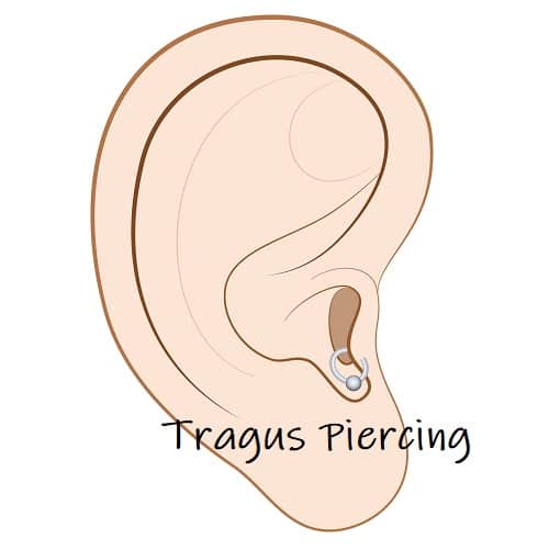 helix Piercing ears tragus