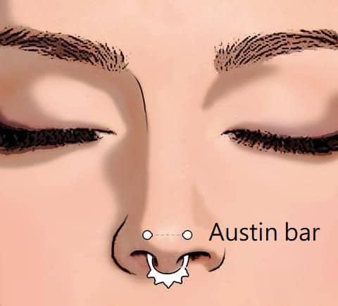 types of nose piercings types Austin bar