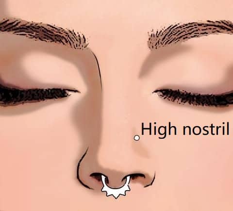 types of nose piercings types High Nostril