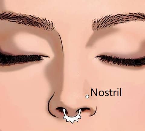 types of nose piercings types Nostril