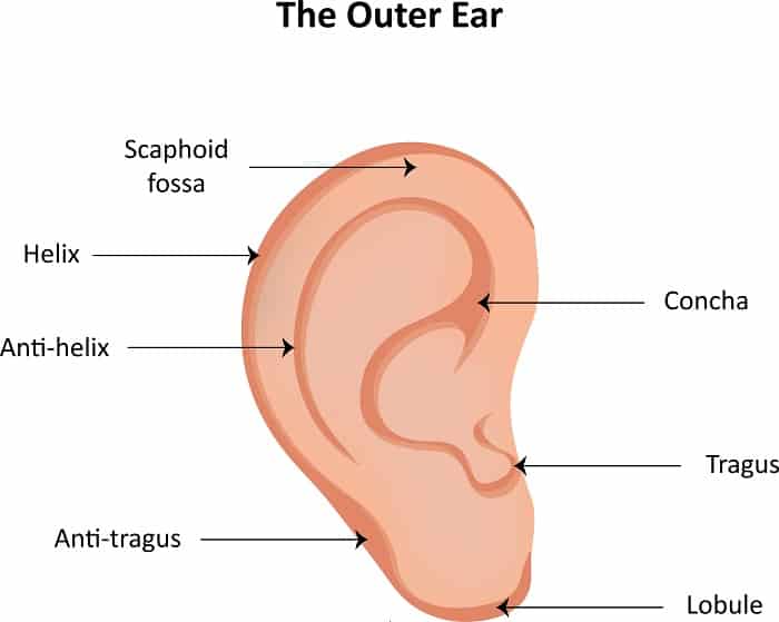 helix piercing outer ear