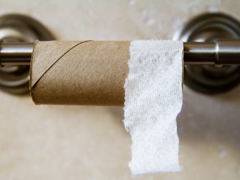 toilet paper alternatives