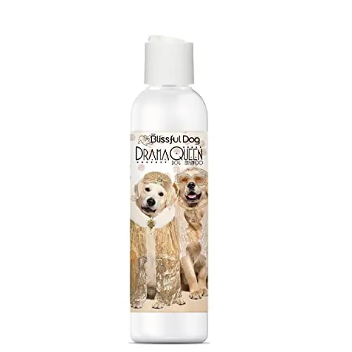 The Blissful Dog Drama Queen Shampoo for Golden Retrievers